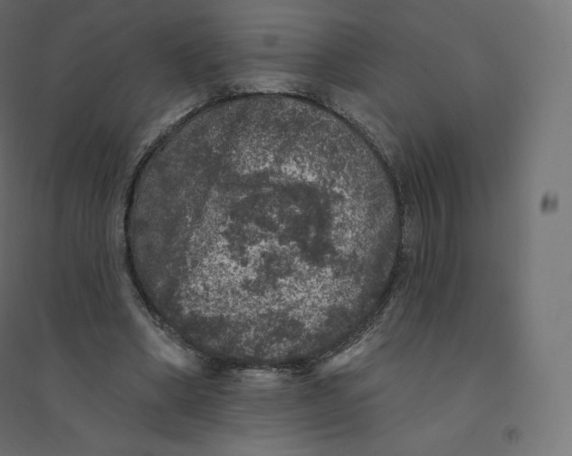 X0000094380394200711242027