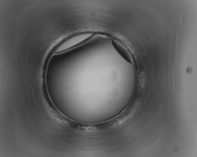 X0000094380395200711242027