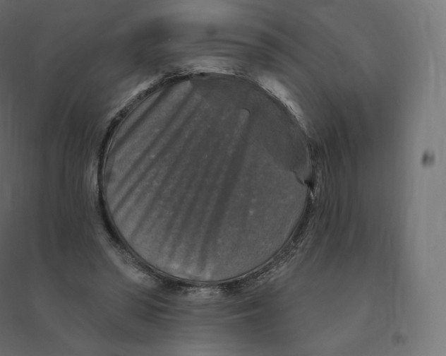 X0000094380398200711242027