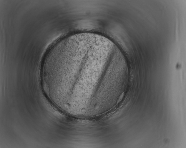 X0000094380399200711242027