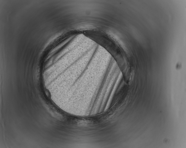 X0000094380400200711242027