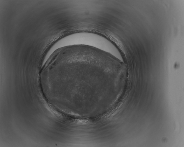X0000094380401200711242027
