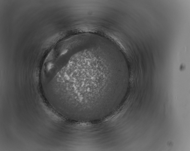 X0000094380402200711242027