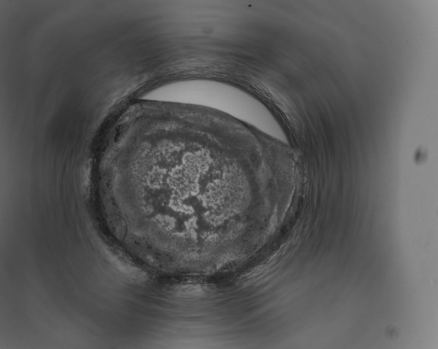 X0000094380404200711242026