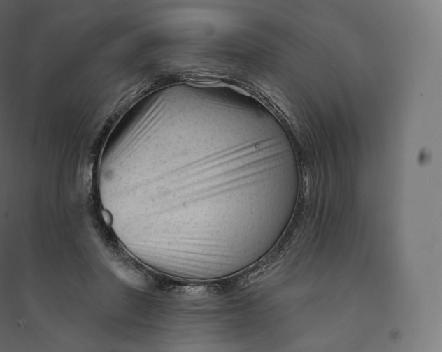 X0000094380406200711242026
