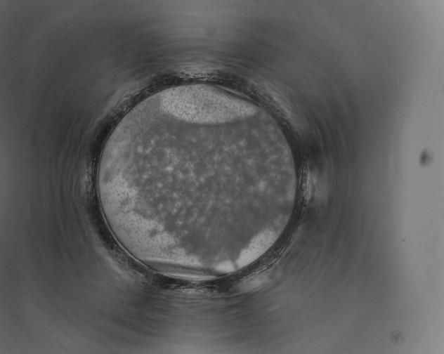 X0000094380408200711242026