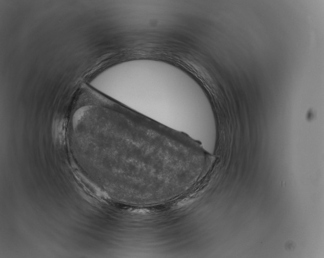 X0000094380409200711242026