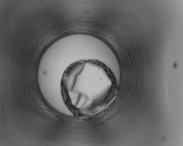 X0000094380411200711242026