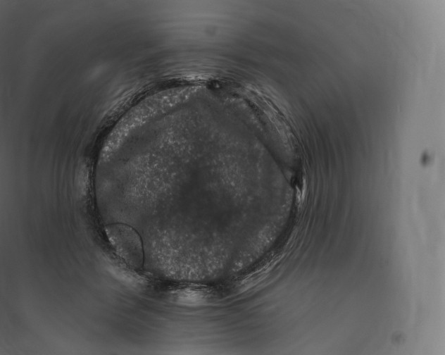 X0000094380412200711242026