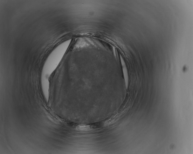 X0000094380413200711242026