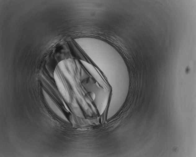 X0000094380415200711242026