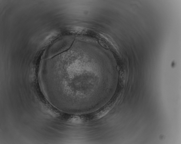 X0000094380416200711242026