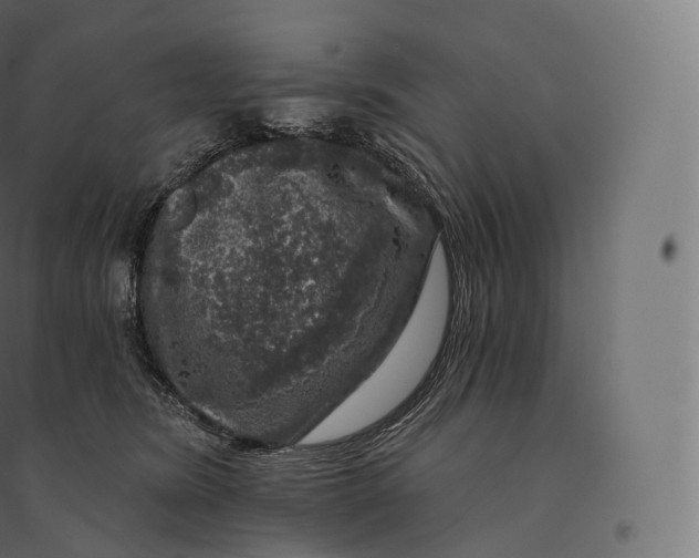 X0000094380420200711242026