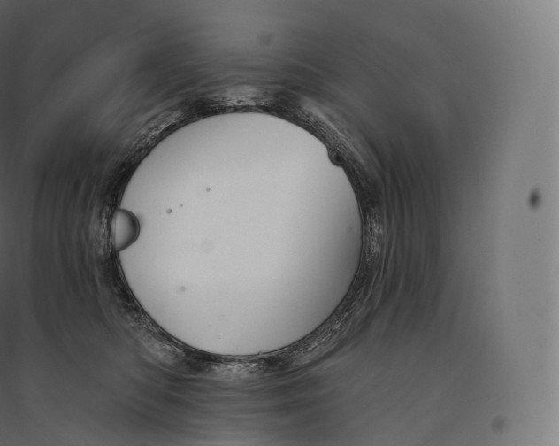 X0000094380422200711242026