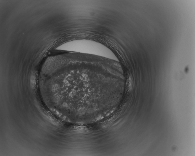 X0000094380424200711242026