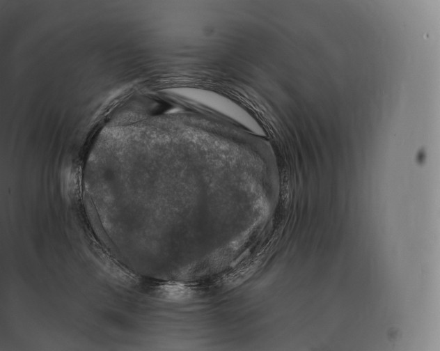X0000094380425200711242026