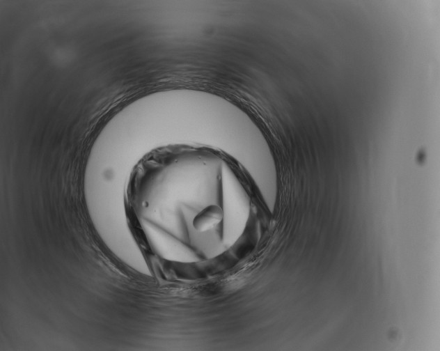 X0000094380428200711242026