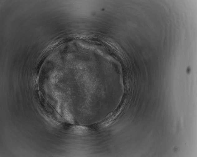 X0000094380429200711242026