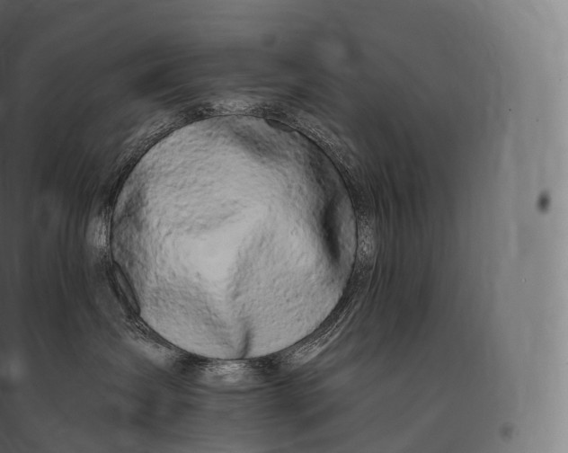 X0000094380431200711242026