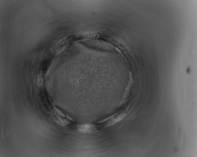 X0000094380432200711242026