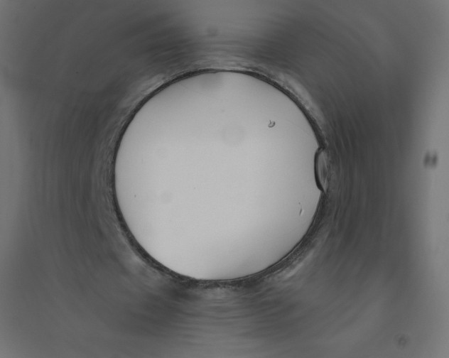 X0000094380433200711242025