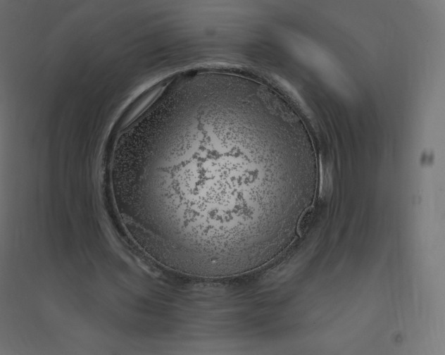 X0000094380435200711242025