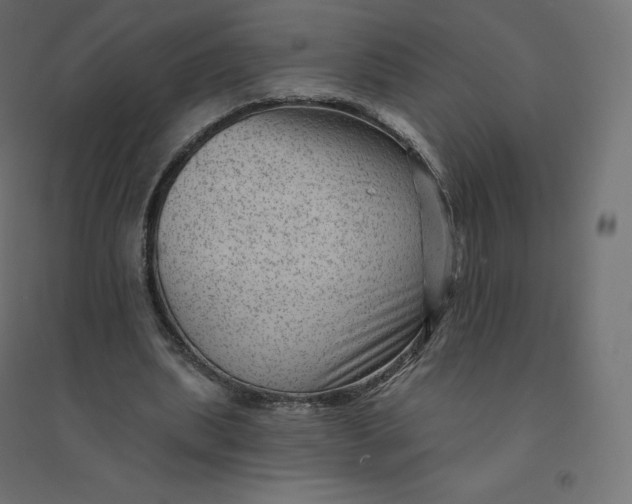 X0000094380439200711242026