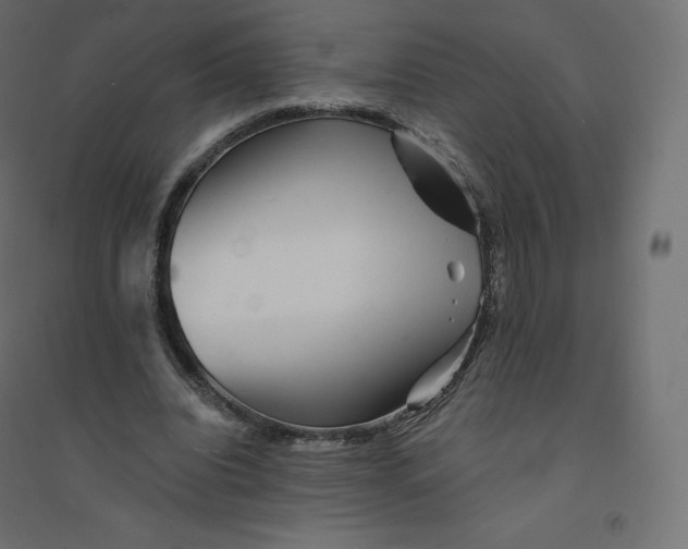 X0000094380440200711242026