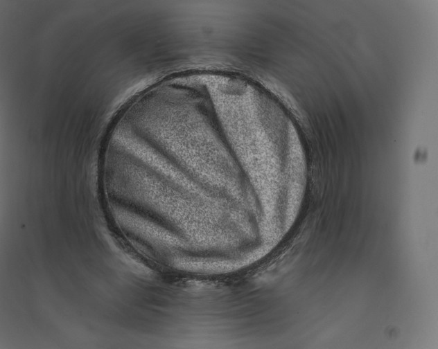 X0000094380442200711242026