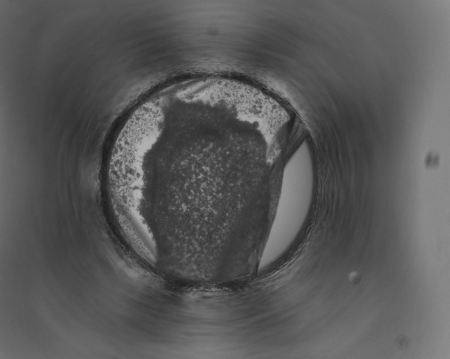 X0000094380443200711242026