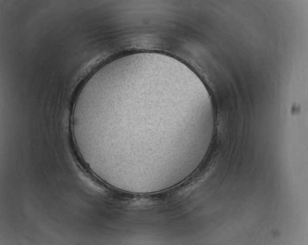 X0000094380445200711242026