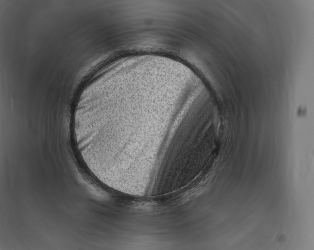X0000094380446200711242026