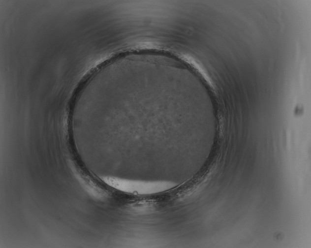 X0000094380447200711242026