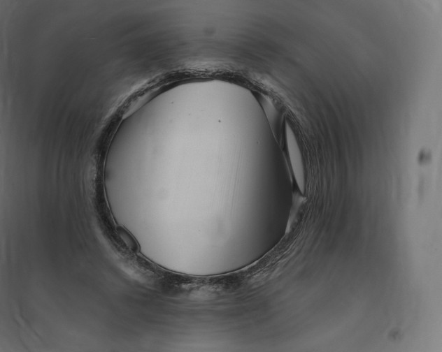 X0000094380448200711242026