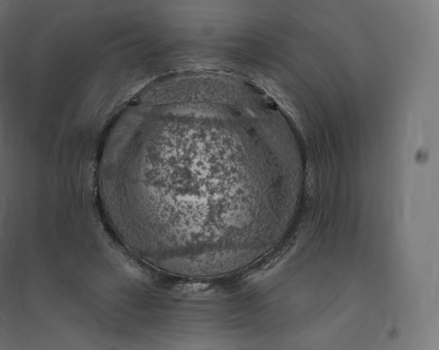 X0000094380449200711242026