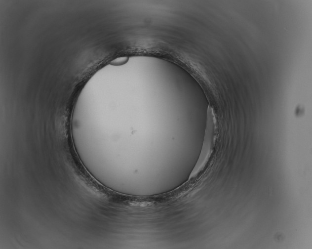 X0000094380450200711242026