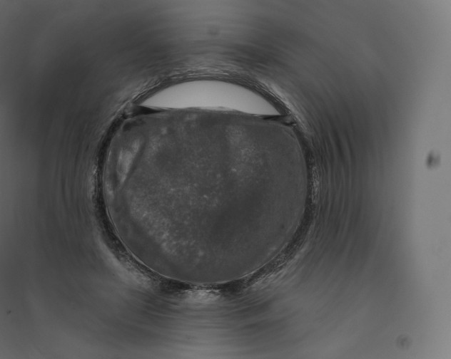 X0000094380451200711242026