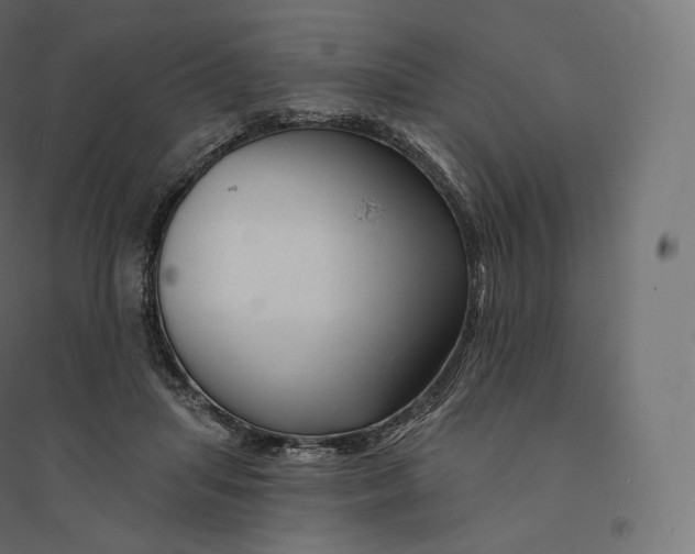 X0000094380455200711242026