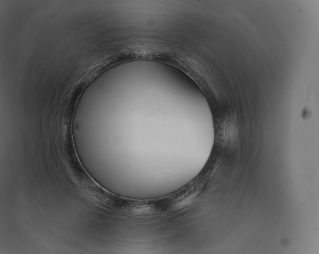 X0000094380456200711242026