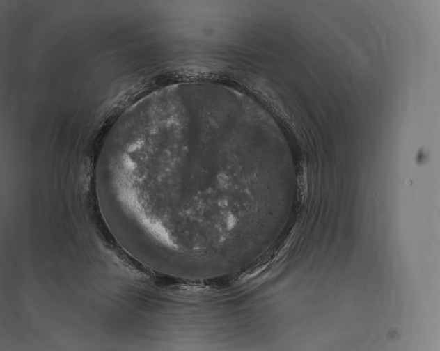 X0000094380458200711242026