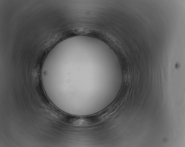 X0000094380460200711242026