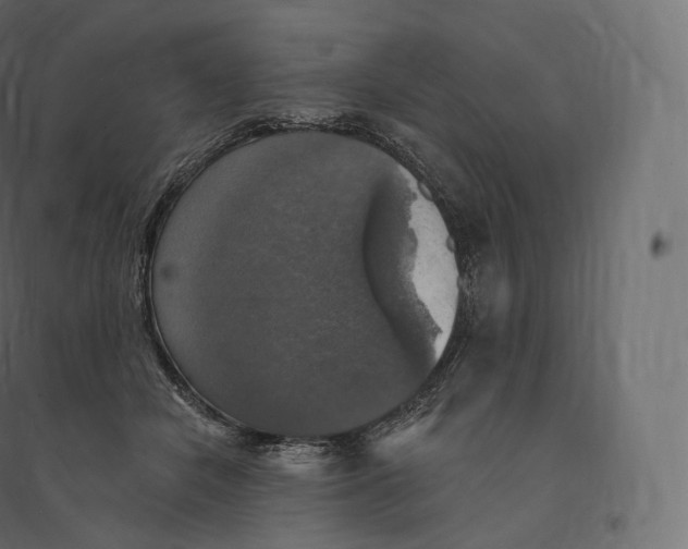 X0000094380462200711242026