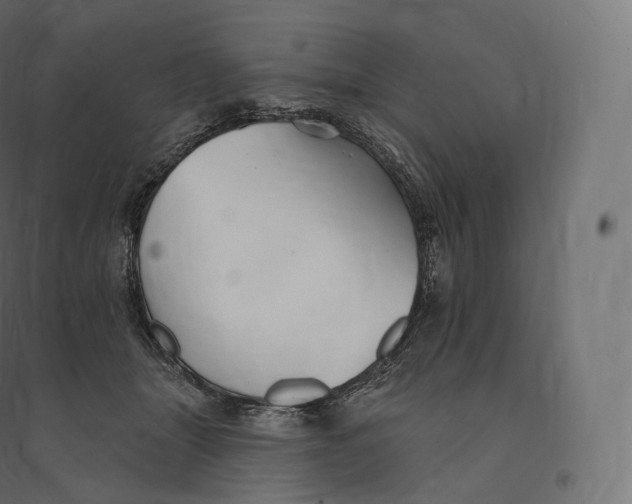 X0000094380463200711242026