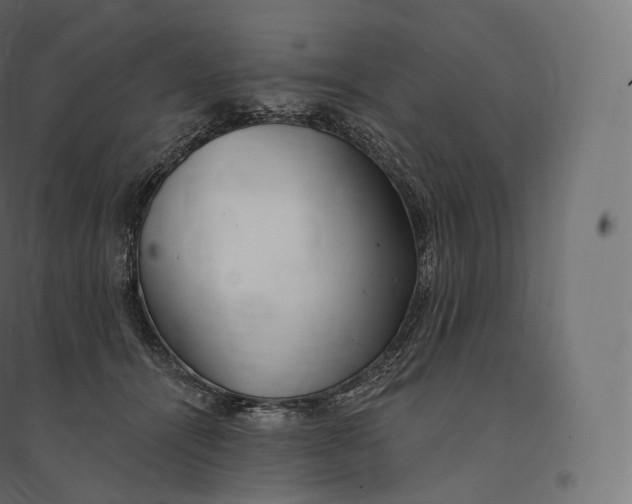X0000094380464200711242026