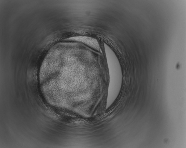 X0000094380466200711242026