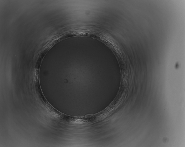 X0000094380467200711242026
