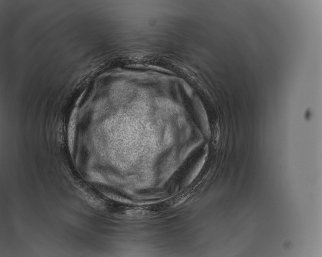 X0000094380470200711242026
