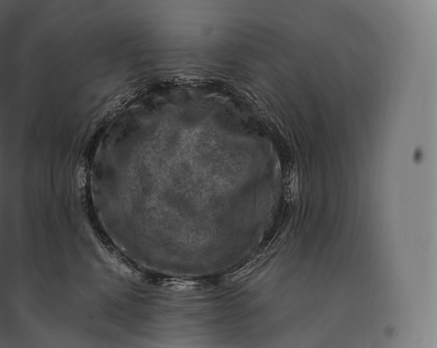X0000094380472200711242026