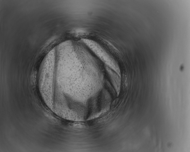 X0000094380475200711242026