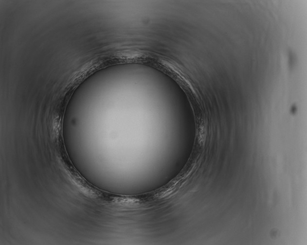 X0000094380476200711242026